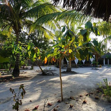 Dreams Of Mapacha Bed & Breakfast Michamvi Kae Exterior photo
