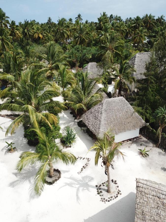 Dreams Of Mapacha Bed & Breakfast Michamvi Kae Exterior photo