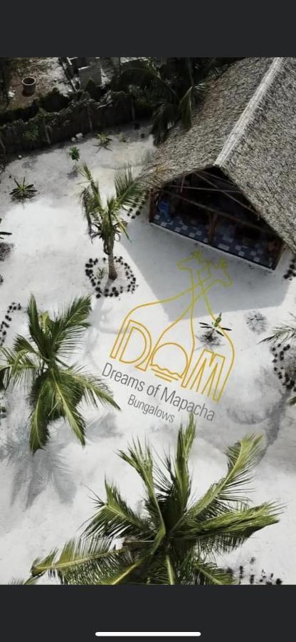 Dreams Of Mapacha Bed & Breakfast Michamvi Kae Exterior photo